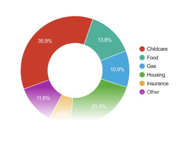 Example of the Monthly Expense Breakdown Piechart